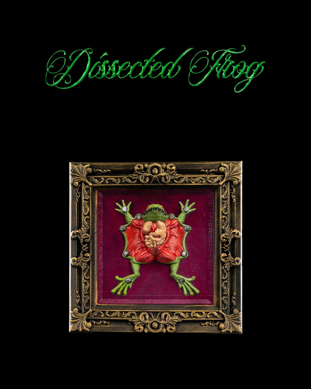 Dissected Frog — halloween decor, view 1, 3D printed by Craft & Press