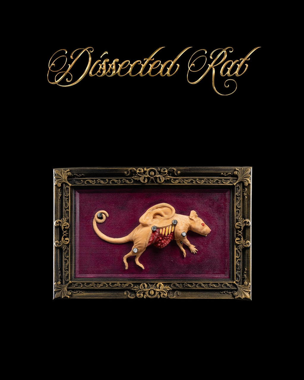 Dissected Rat — halloween decor, view 1, 3D printed by Craft & Press