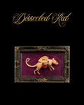 Dissected Rat — halloween decor, view 1, 3D printed by Craft & Press