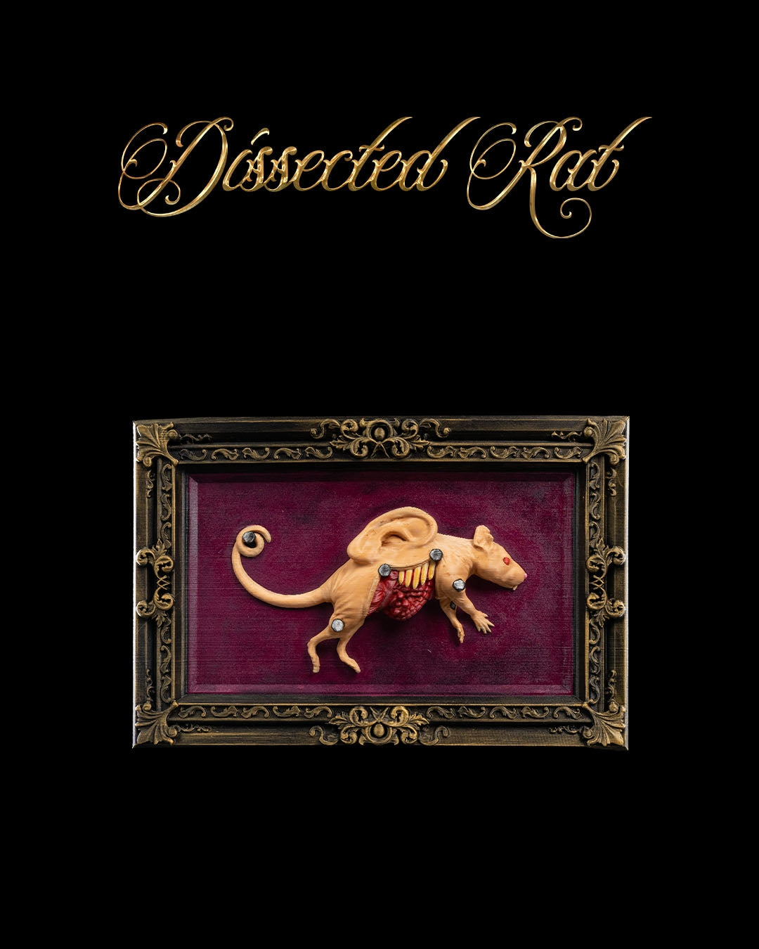 Dissected Rat — halloween decor, view 1, 3D printed by Craft & Press