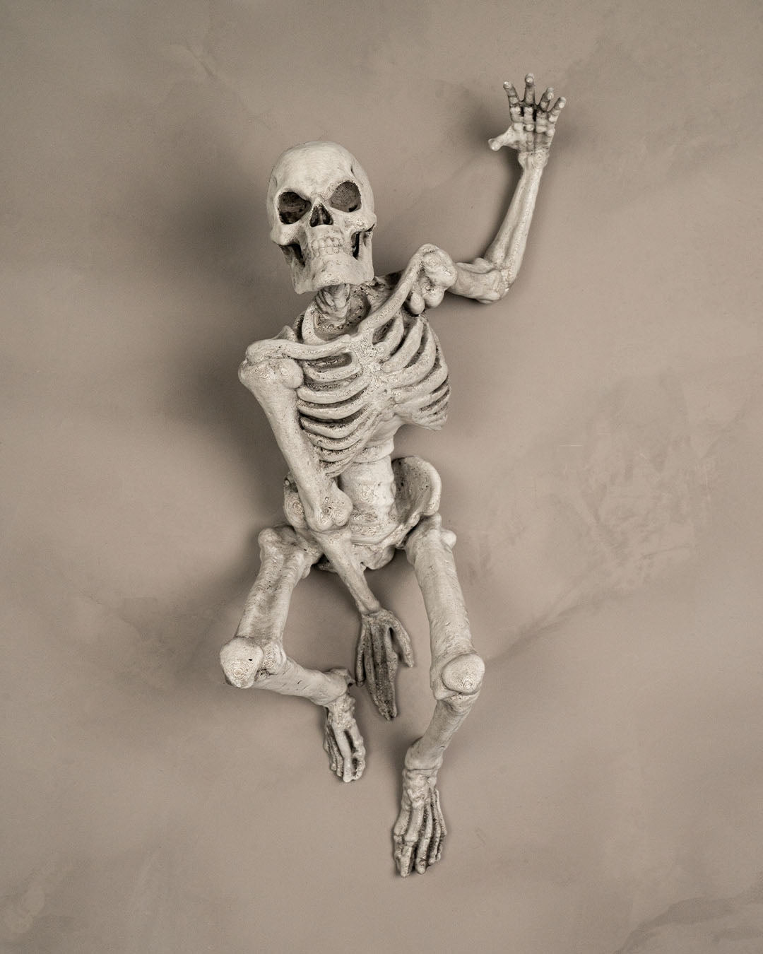 Jump Scareleton — halloween decor, view 2, 3D printed by Craft & Press