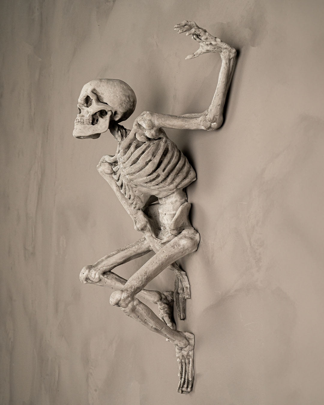 Jump Scareleton — halloween decor, view 3, 3D printed by Craft & Press