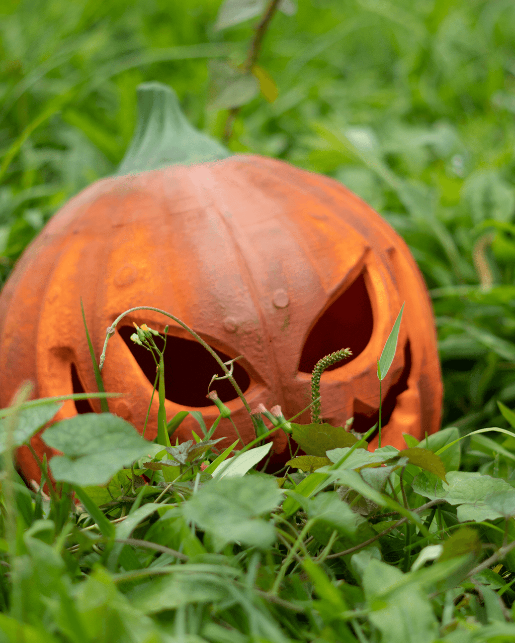 Pumpkin Helmet — halloween mask, view 5, 3D printed by Craft & Press