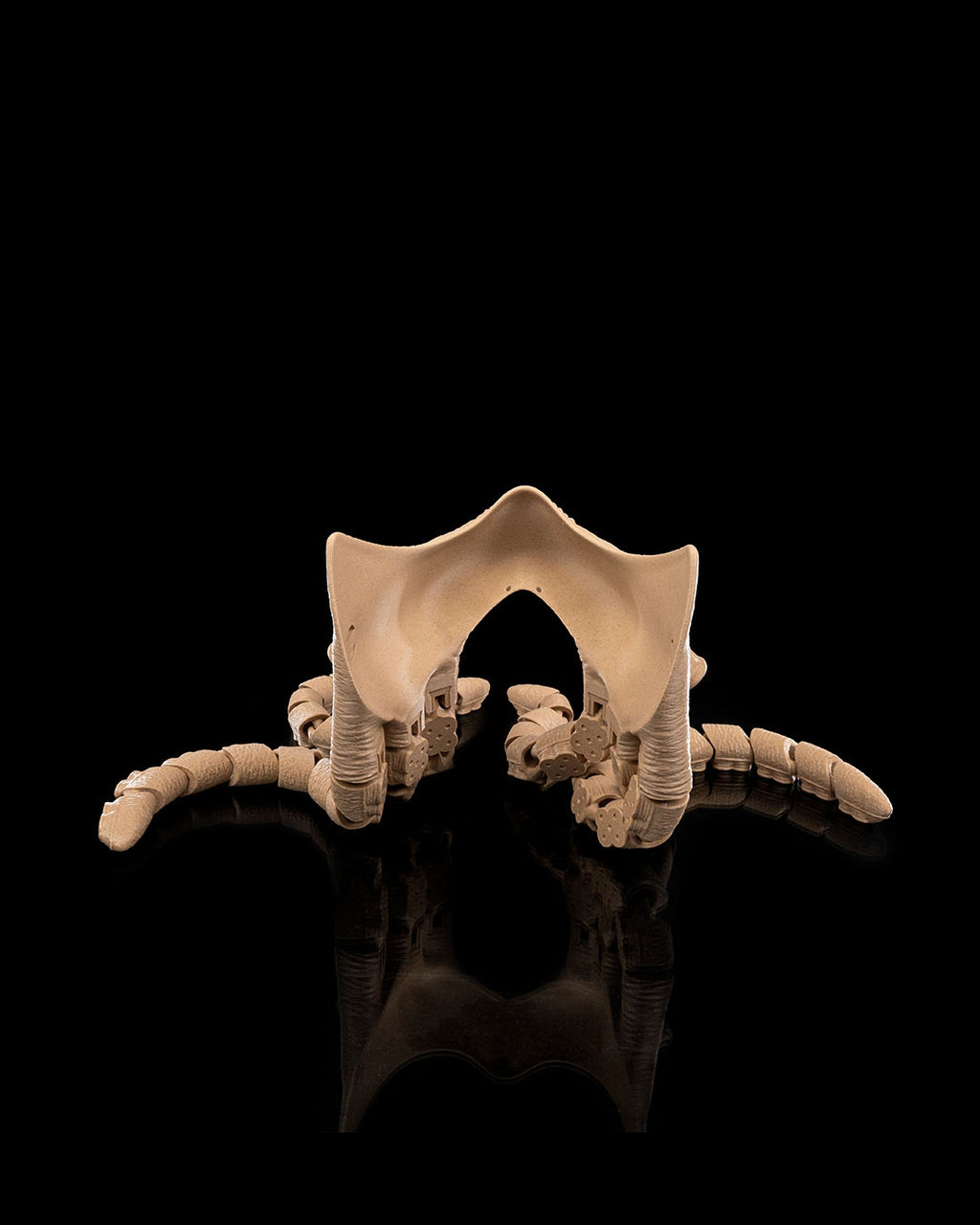 Abyssal Tentacles Halloween Mask — halloween mask, view 7, 3D printed by Craft & Press