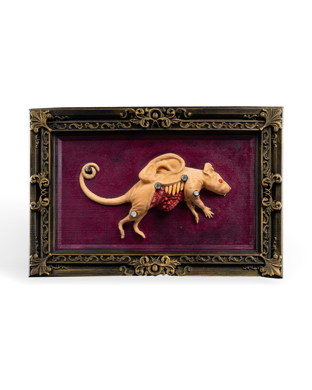 Dissected Rat — halloween decor, view 8, 3D printed by Craft & Press