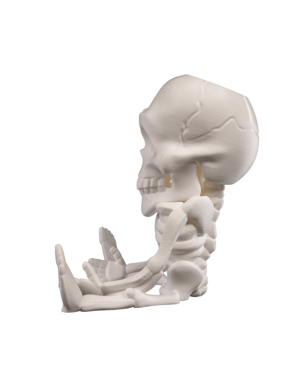 Crani-yum Candy Holder — halloween candy holder, view 13, 3D printed by Craft & Press