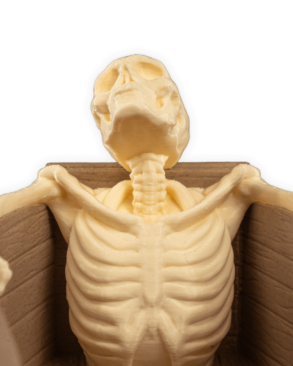 Deathtub Candy Holder — halloween candy holder, view 16, 3D printed by Craft & Press