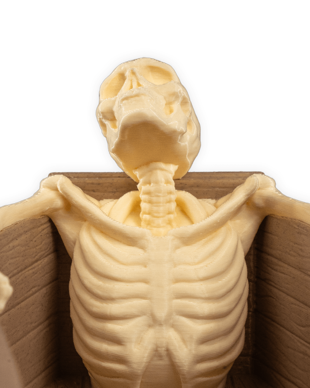 Deathtub Candy Holder — halloween candy holder, view 16, 3D printed by Craft & Press