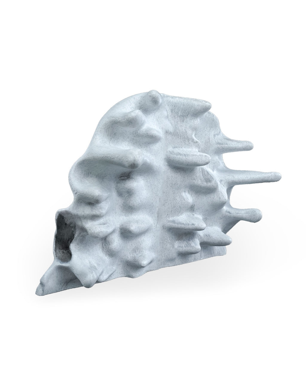 RIPped skull — halloween decor, view 19, 3D printed by Craft & Press