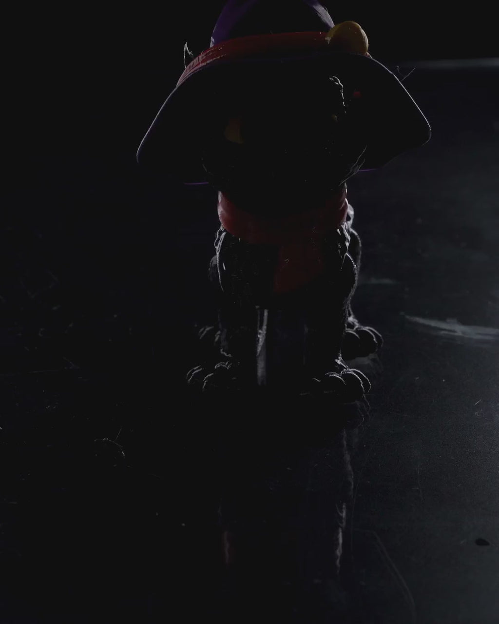 Cat in a hat