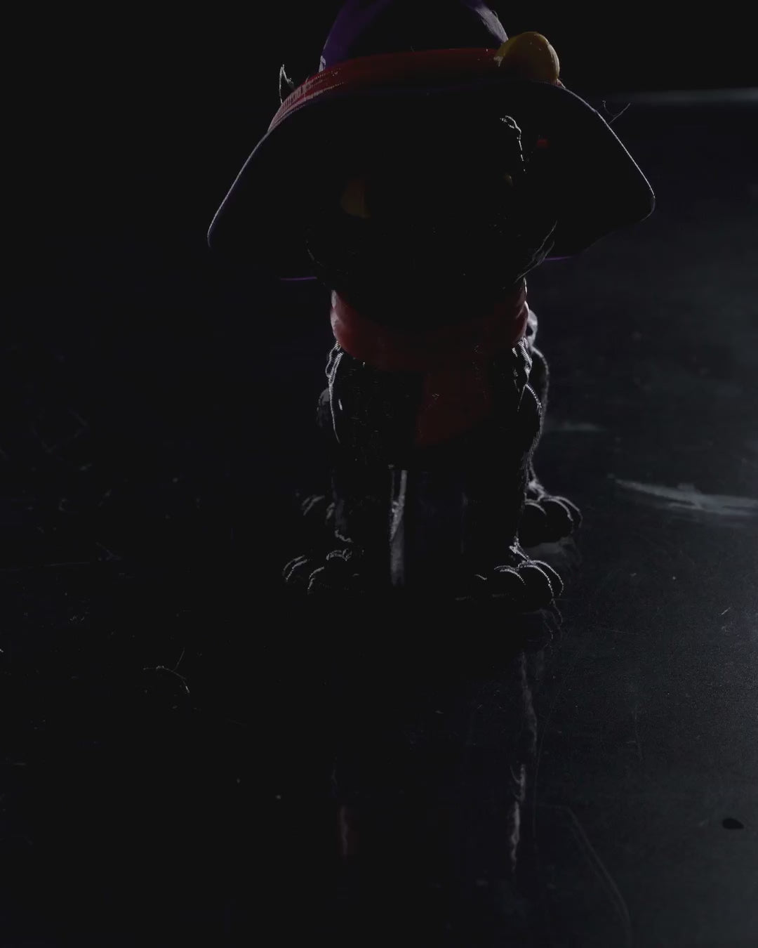 Cat in a hat